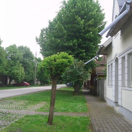 Apartments-Mini-Hotel Csongrád Pokój zdjęcie