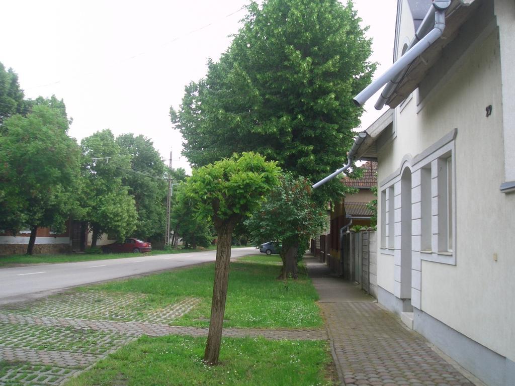 Apartments-Mini-Hotel Csongrád Pokój zdjęcie